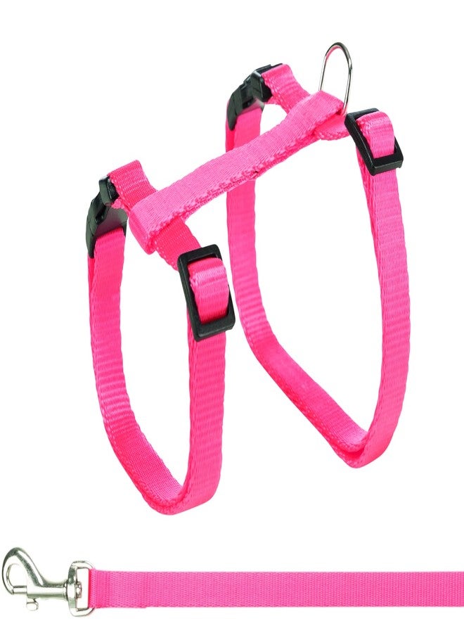 تريكسي سرج تريكسي للقطط مع مقود، قابل للتعديل، مزود بإبزيمات كبس، وحلقة D قوية، آمن للقطط والكلاب الصغيرة، مقود بطول 1.20 متر، متعدد الألوان (احصل على لون واحد عشوائي) - Image 4